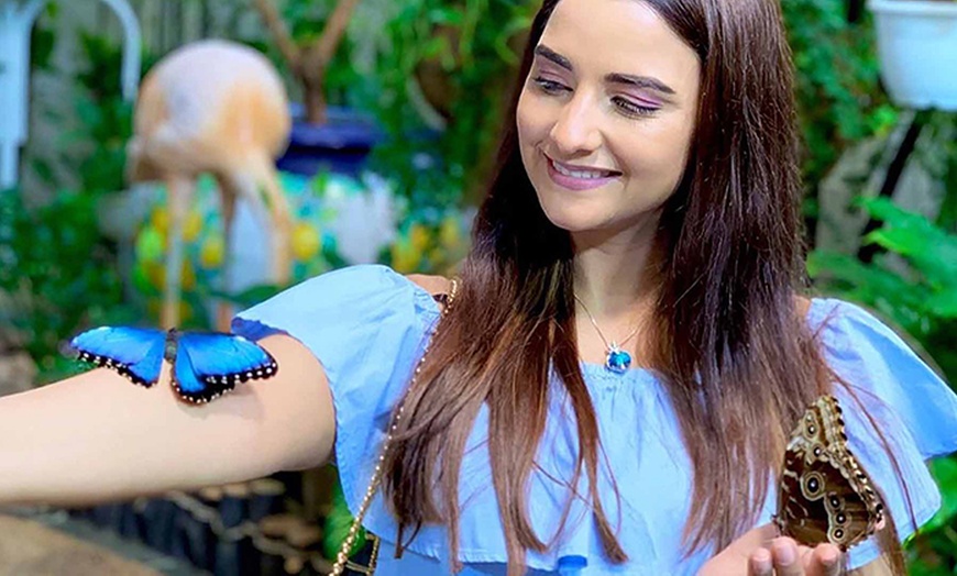 Image 1: Discover Vibrant Colors w/ Dubai Butterfly Garden Pass:1, 2,/ 4 Adults