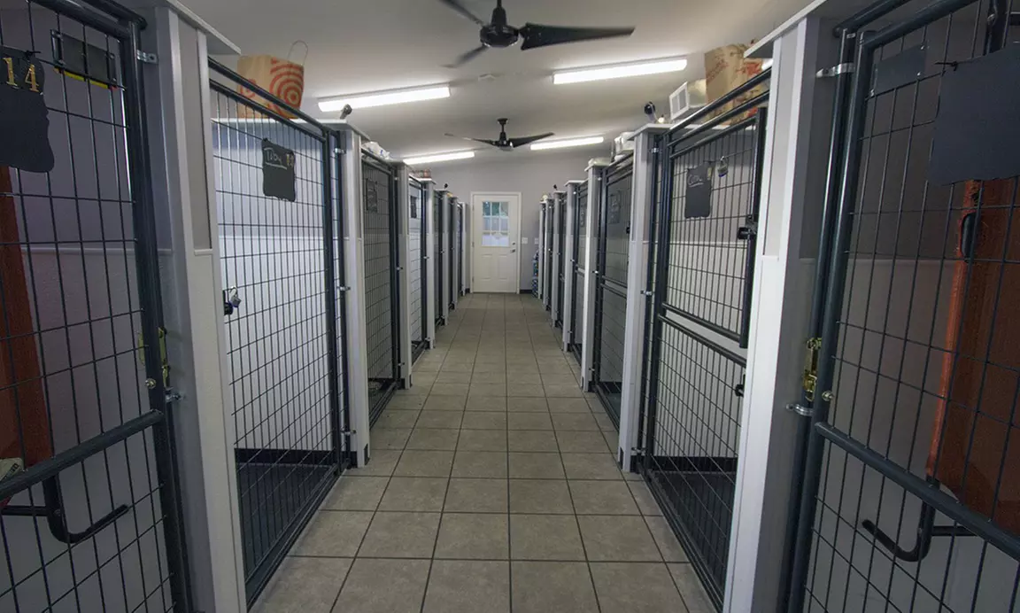 Two or Seven Nights of Dog Boarding for One Dog Up to 100 Pounds