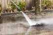 Freshen Up Driveway & Sidewalk + Power Washing/Roof/Pool Cleaning @North jersey property services(Up to 32% Off) - Second Medium