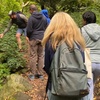 Image 3: SF's WildSide, Redwood & Hike or Golden Gate Park's Hidden Gems Tour