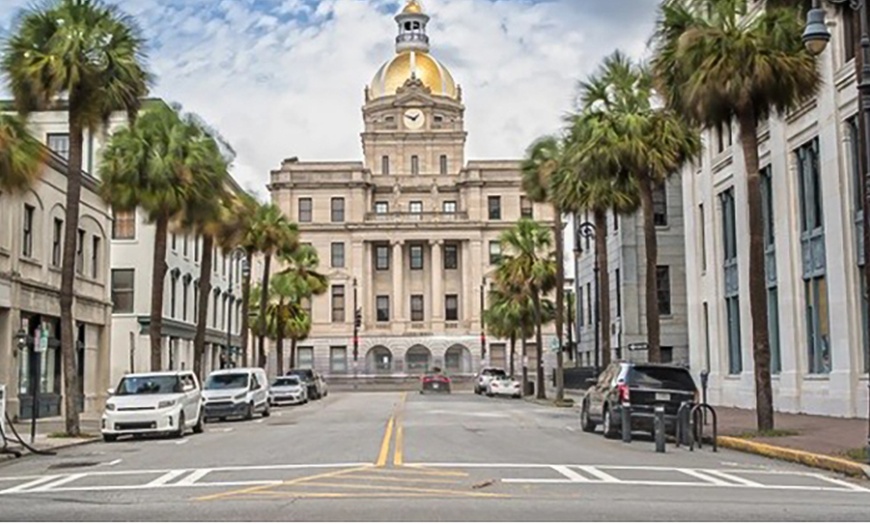 Image 8: 3-Hour Savannah Land & Sea Tour w/ Expert Guides: Adult & Child Ticket
