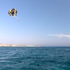 Image 2: Soar to New Heights Parasailing with Diamond Head Parasail
