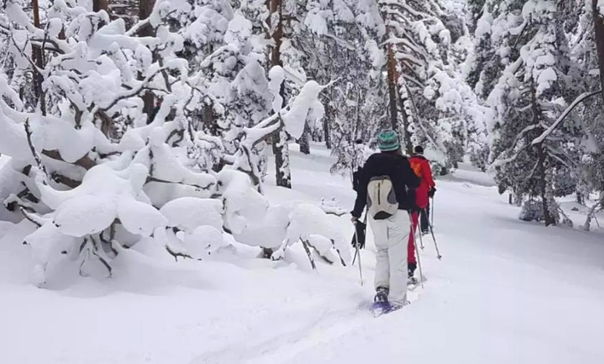 Image 4: Excursión con raquetas por la Sierra de Guadarrama para 1 o 2 personas