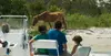 Private Party Back Bay Sunset Cruise or Assateague Island Wildlife & Pony Cruise – Sea Rocket Adventures