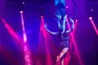 Cirque Italia Water Circus from April 25-28 and May 2-5  - Second Medium