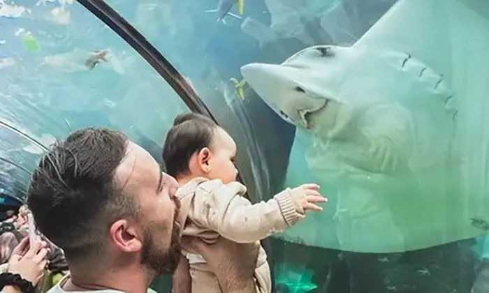 Learn About 13,000+ Animals & 14 Themed Zones at Darling Harbour