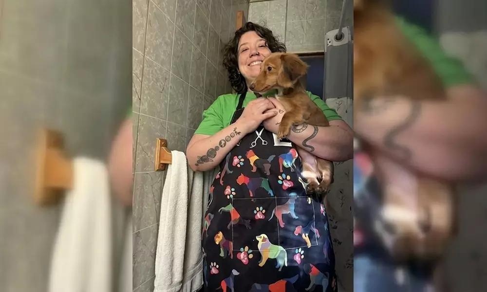 In-Home Full Service Dog Grooming for Small to XL Dogs