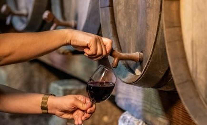 Image 22: Menú comida con visita a bodega con paseo por la finca y cata de vino