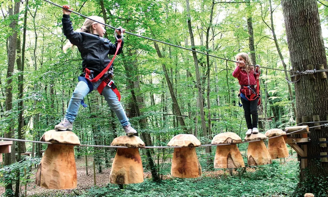 Expérience accrobranche en forêt pour enfant et adulte