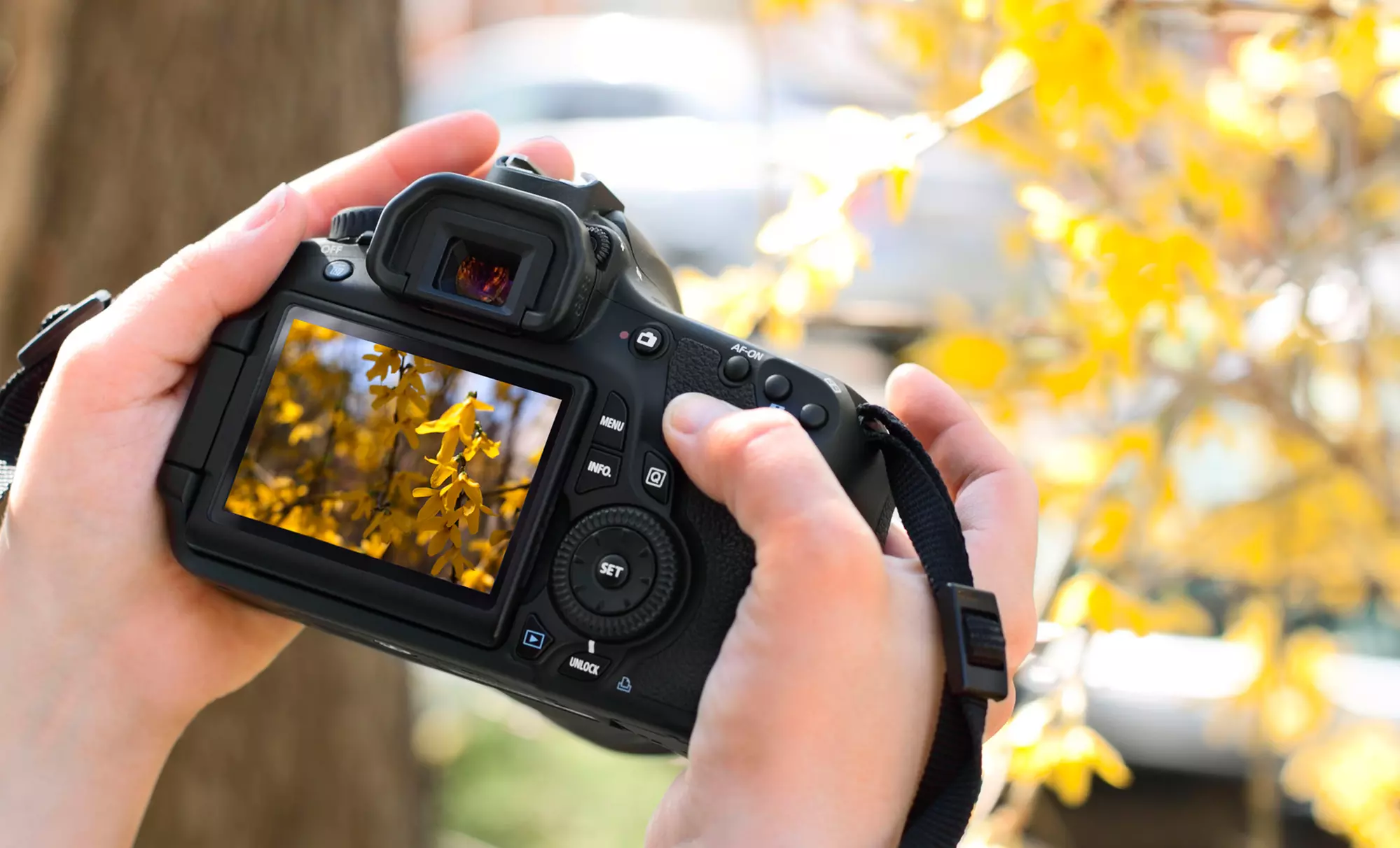 Private Class for One or Two from Leslie Wilkes Photography (Up to 52% Off) - Primary Image