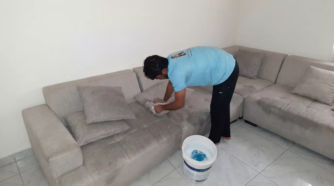 Professional Home Care: Deep Cleaning, AC, and Pest Control Services