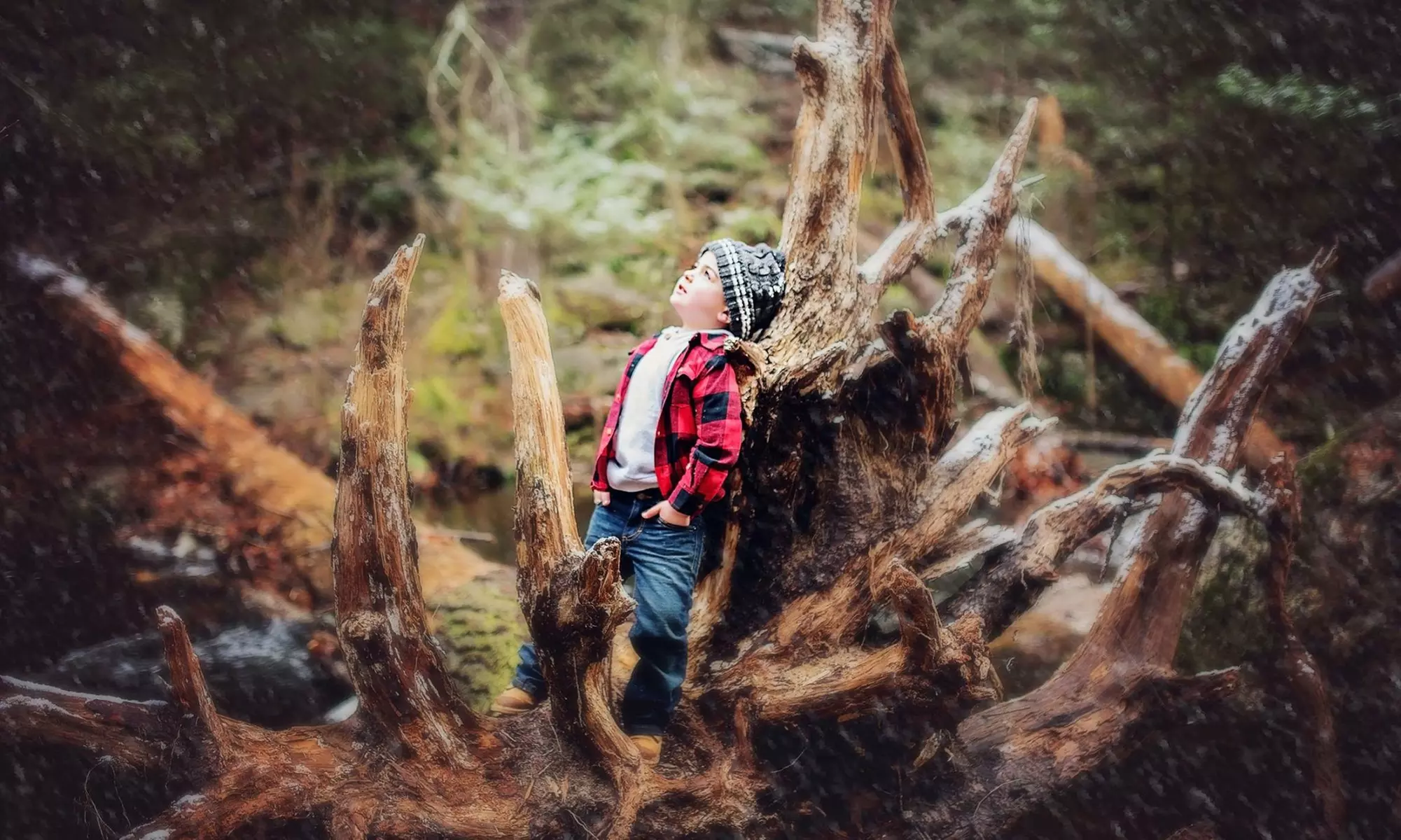 60-Minute Outdoor Photo Shoot from Truth Be Told Photography (50% Off) - Primary Image