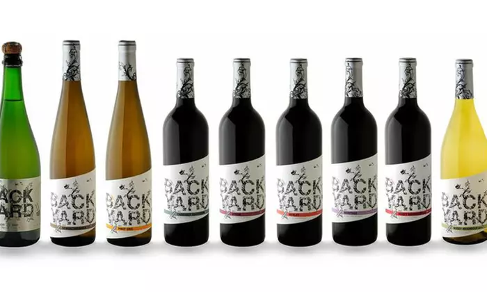 Bubble Tour, Tasting, and Food Pairing for Two or Four at Backyard Vineyards (50% Off) - Primary Image