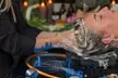 Total Pampering Package: Expert Facials, Hand & Foot Care, Stress-Relief Spa, & More (Up to 51% Off) - Second Medium