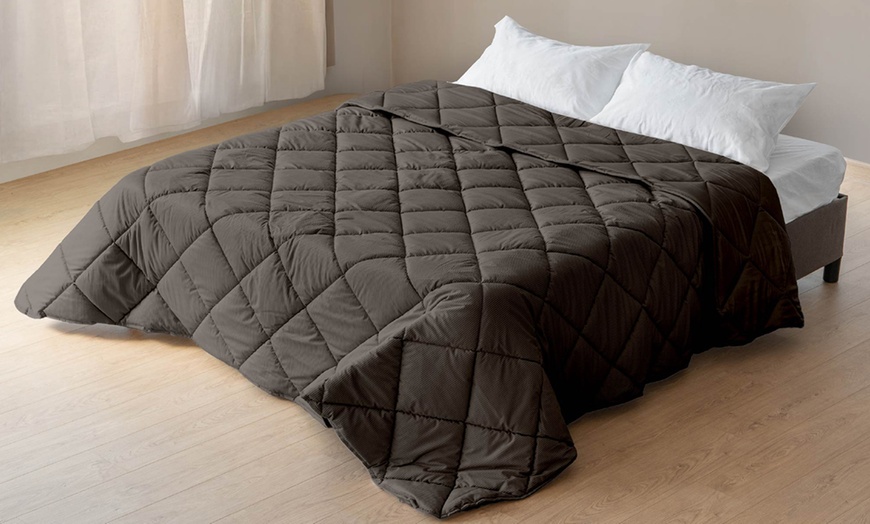 Image 17: Fluwelen sprei