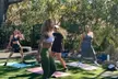 Enjoy 5 or 10 Dance Fitness Classes for a Fun Workout Experience at Ev-E Productions (Up to 25% Off) - Second Medium