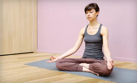 5, 10, or 20 Classes at River Yoga in Lahaska - Primary Image