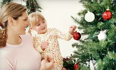 $75 for 7-Foot Tree and 12-Inch Wreath with Delivery from Organic Turf Solutions ($150 Value) - Primary Image
