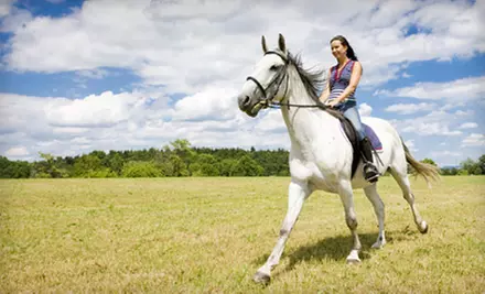 Trail Ride or Group Lessons at Nova Quarter Horses in Mokena - Primary Image