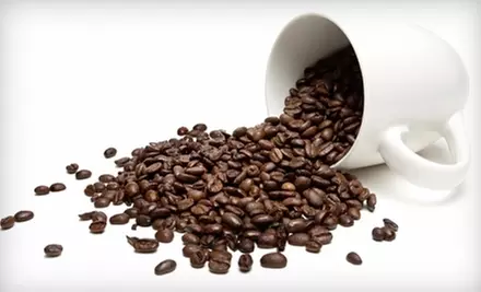 $7 for $15 Worth of Coffee and Café Fare at True North Coffee in Burlington. - Primary Image