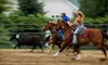 City-Slicker Round-up with Meal for One, Two, Four, or Six at Sleepy Sheep Ranch in Whitewright (Up to 59% Off)