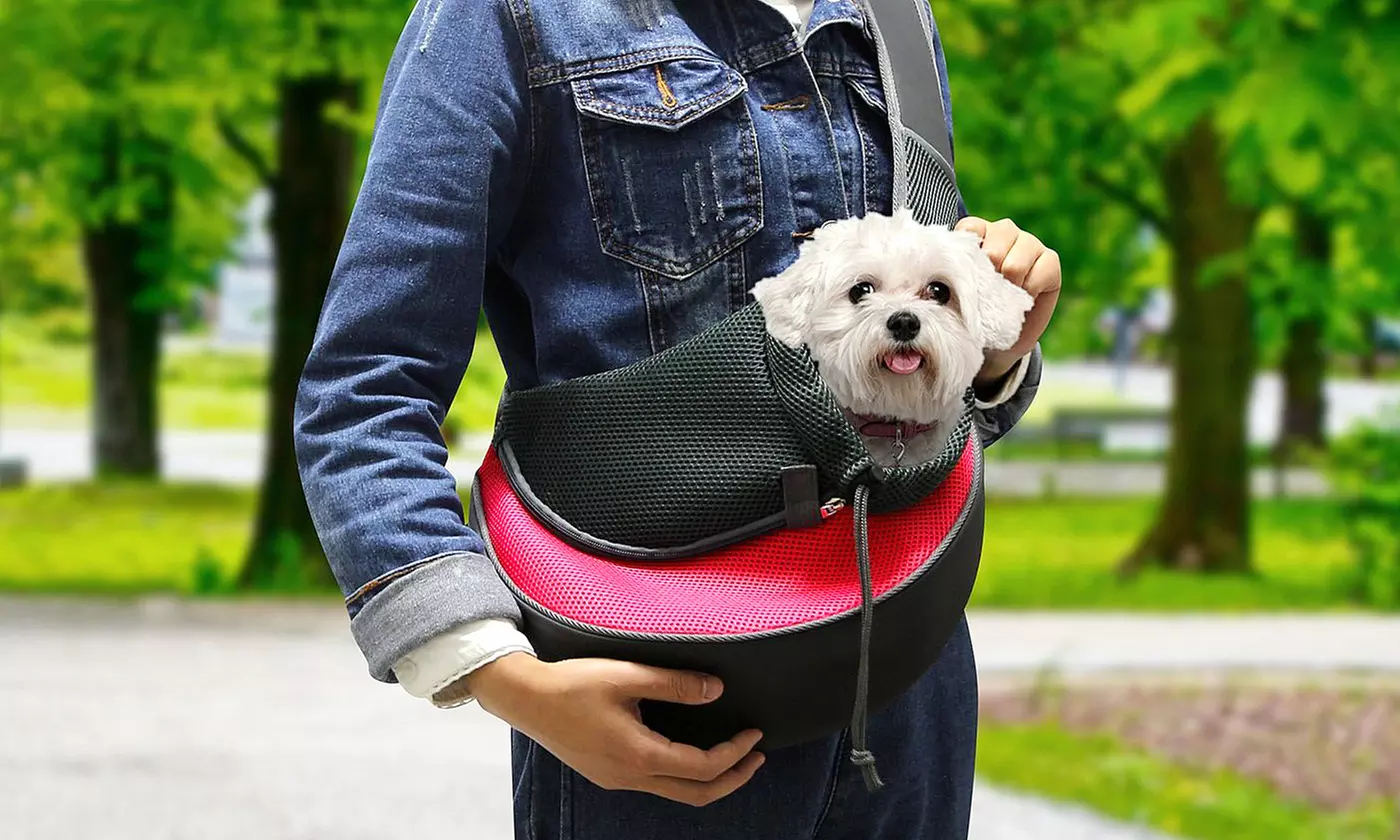 Sac de transport avec hanse pour petit chien - Primary Image