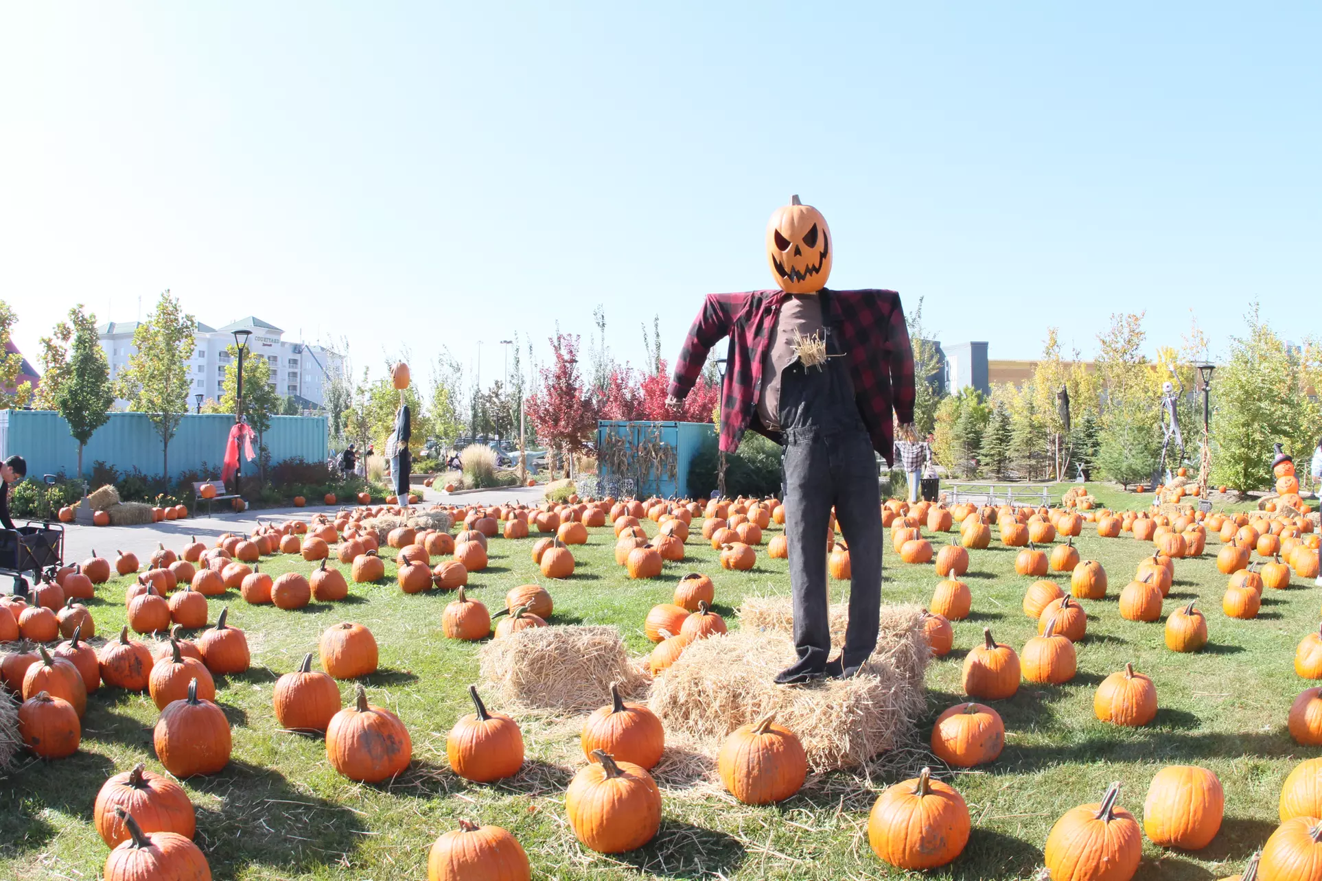Halloween BooFest: 4 Admissions, Unlimited Rides & Spooky Fun Awaits!