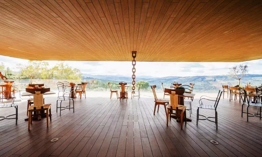 Entradas al Museo del AOVE con visita al olivar y cata de aceites