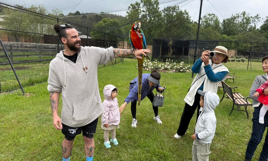 Image 2: Explore Kookaburra Feeding, Parrot Encounter, or Owl Guest Experience