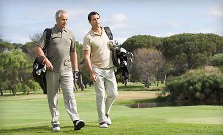 Full-Game Evaluation, Swing Analysis, and Lessons at Performance Golf Academies of America in Dublin (Up to 86% Off). Two Options Available. - Primary Image