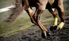 Private Box for Up to Six or Restaurant Package with Buffet for Two at Hastings Racecourse (Up to 52% Off)