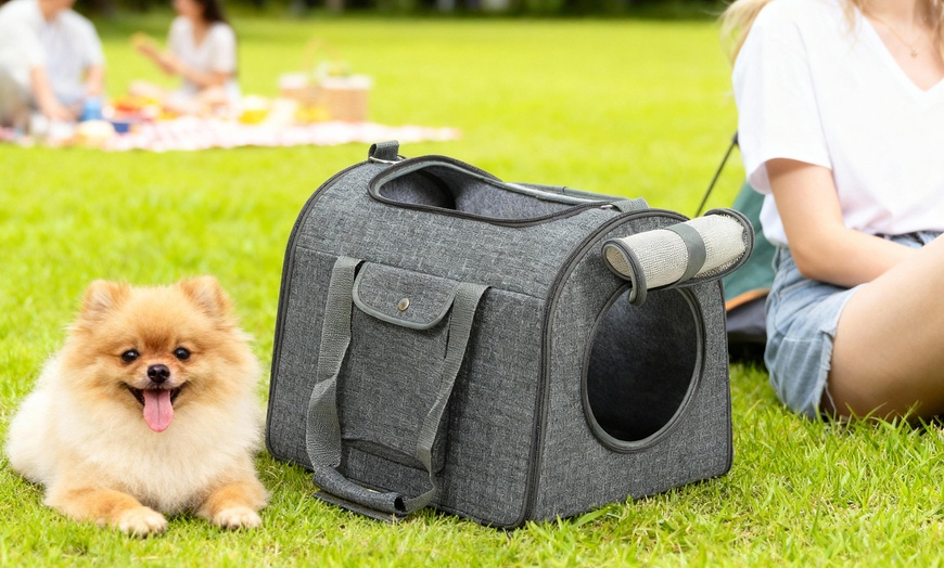 Image 1: PawHut Soft-Sided Cat Carrier Foldable Bag in Spacious Design