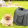 Image 1: PawHut Soft-Sided Cat Carrier Foldable Bag in Spacious Design