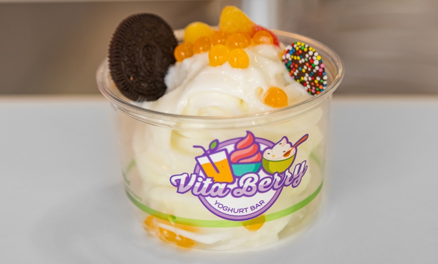 Image 3: Up to 30% Off on Frozen Yogurt (Bakery & Dessert Parlour) at Vitaberry