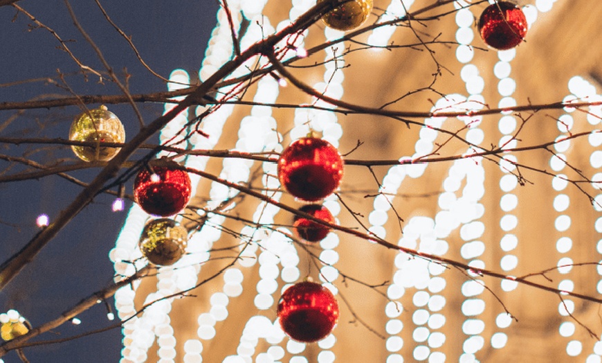 Image 6: Up to 16% Off Admission to Night Of Lights At Heritage Park 