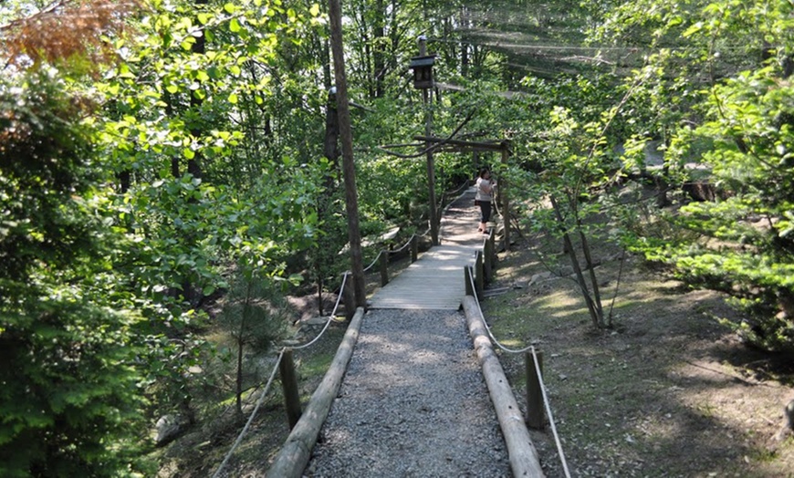 Image 8: Leśny Park Niespodzianek