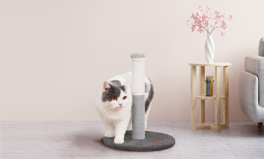Image 63: Griffoir pour chat