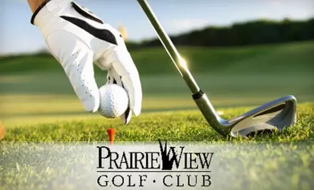 $189 for Four Rounds of Golf and 10 One-Hour Lesson Clinics at Prairie View Golf Club in Carmel - Primary Image