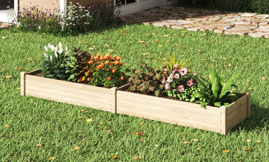 Image 1: Varnish-Coated Solid Wood Raised Garden Bed with Two Compartments