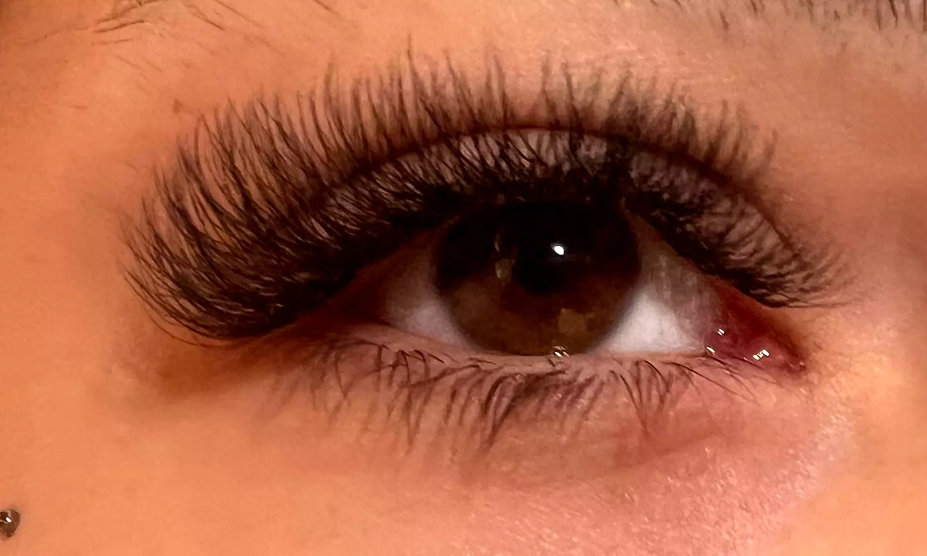 Lifting y tinte de pestañas con diseño, depilación y laminado de cejas