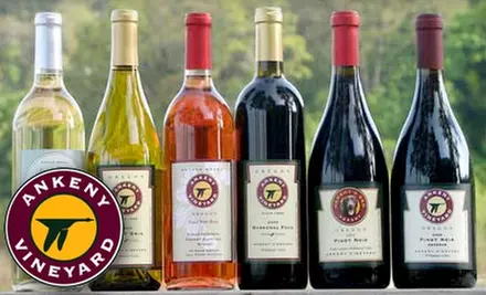 $11 for Two-Person Wine Tasting and Souvenir Wine Glasses at Ankeny Vineyard ($22 Value) - Primary Image