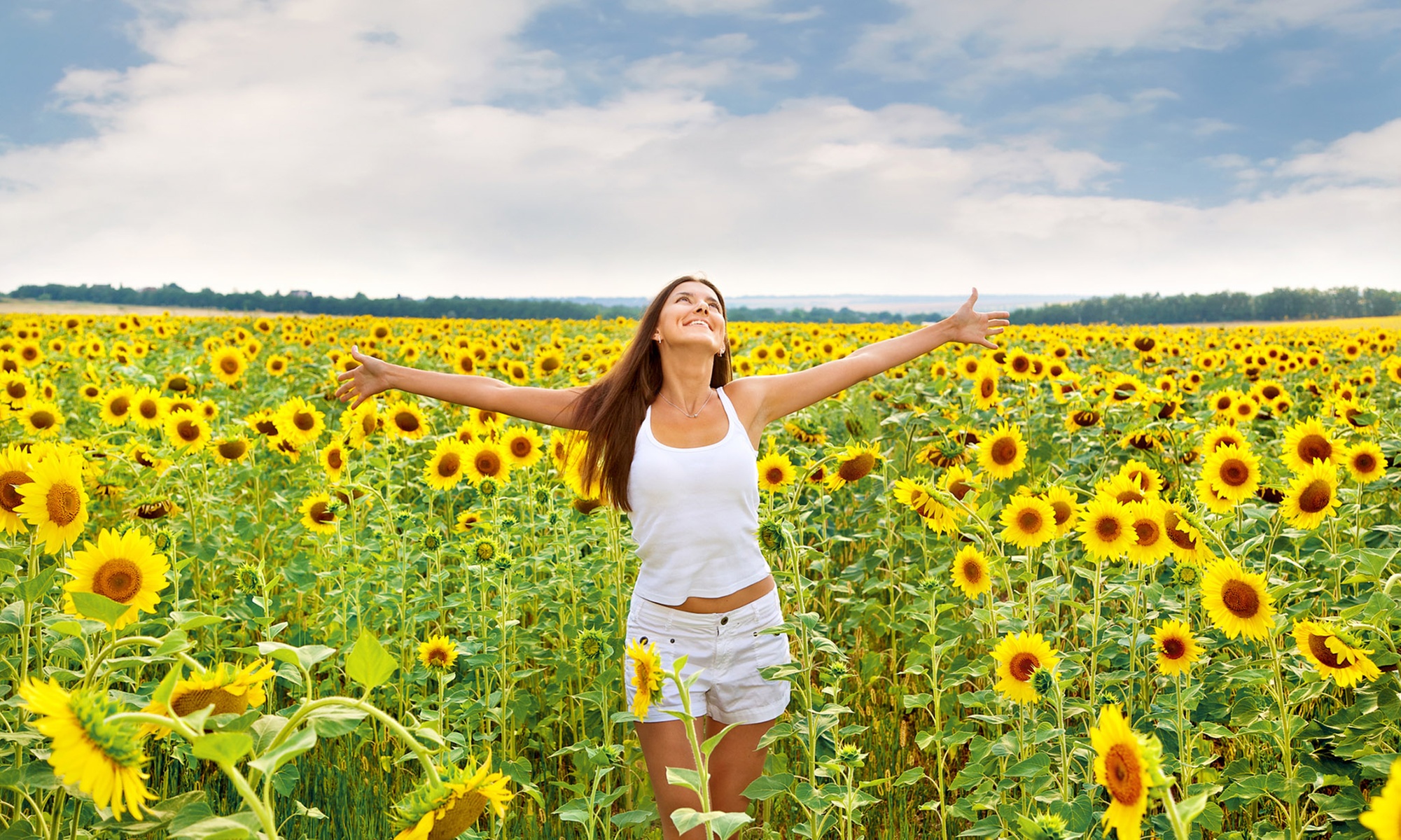 U-Pick Sunflower Admission for One, a Mason Jar and Sunflowers