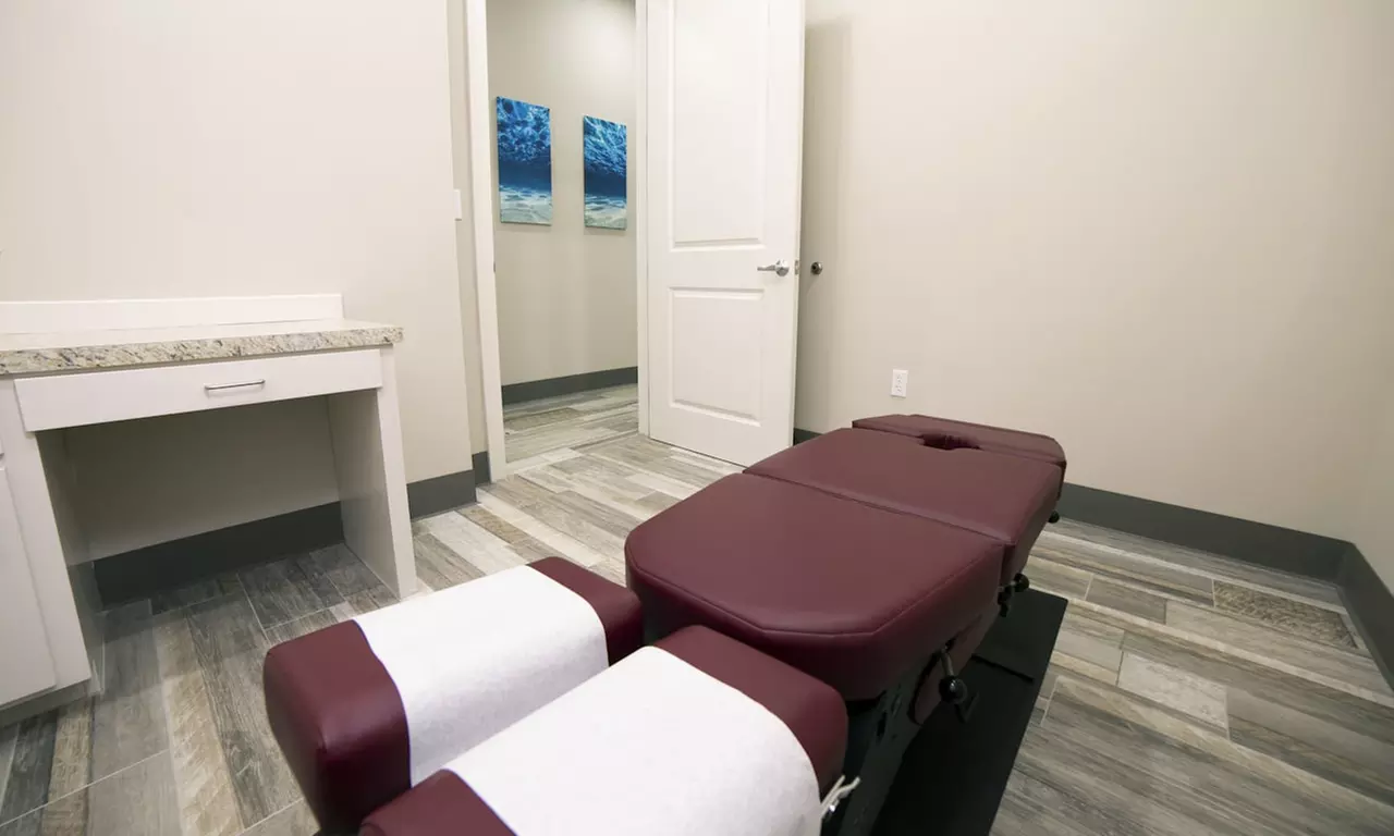 Boost Your Health with a Chiropractic Consultation + Treatments!