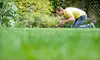 Weed-Spraying Services or Lawn Maintenance from TurfWorks (Half Off)