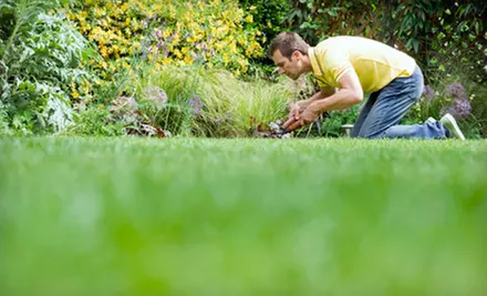 Weed-Spraying Services or Lawn Maintenance from TurfWorks (Half Off) - Primary Image