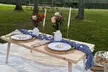 Enjoy Mini(Picnic for 2), Full Bloom /Bloom Bash(Picnic for 4-8 or 9+Guests) at Bloom Theory(Up to 45% Off) - Second Medium