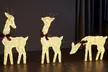 Neo Set of 3 LED Lighted Reindeer Christmas Decorations - Image 2