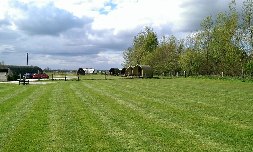 Image 4: Camping Pod in York