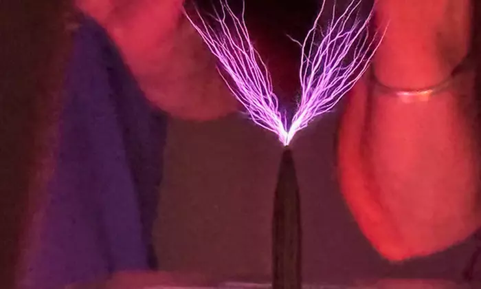 Biocharged Wellness Session for 1–4 People