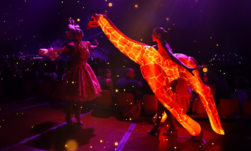 Image 5: El Circo de la Luz: Magia, Láseres y Acrobacias para Toda la Familia 